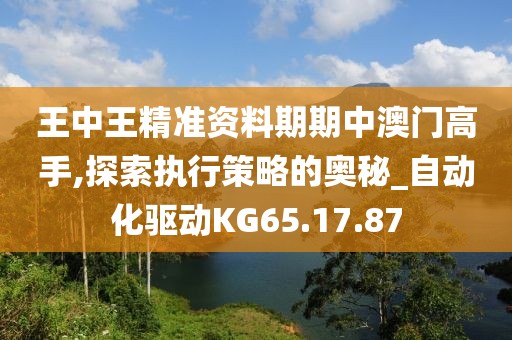 王中王精准资料期期中澳门高手,探索执行策略的奥秘_自动化驱动KG65.17.87