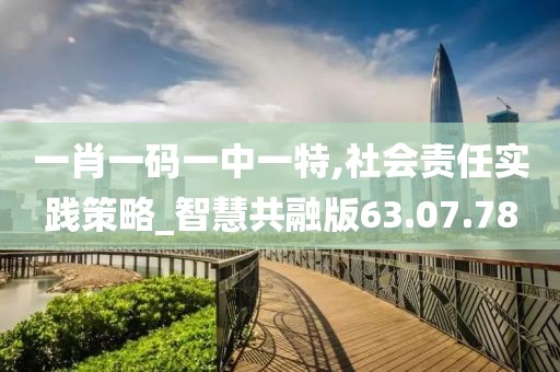 一肖一码一中一特,社会责任实践策略_智慧共融版63.07.78