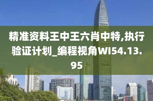 精准资料王中王六肖中特,执行验证计划_编程视角WI54.13.95