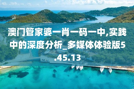澳门管家婆一肖一码一中,实践中的深度分析_多媒体体验版5.45.13