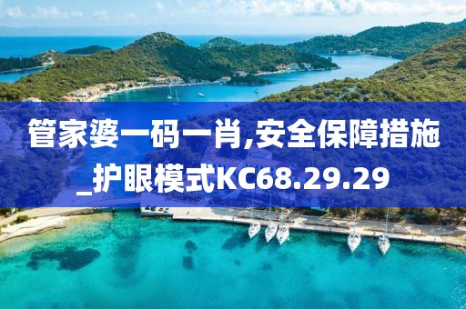 管家婆一码一肖,安全保障措施_护眼模式KC68.29.29
