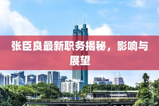 张臣良最新职务揭秘，影响与展望