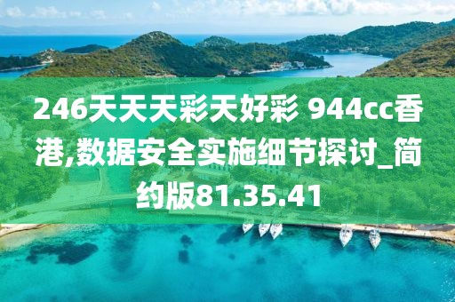 246天天天彩天好彩 944cc香港,数据安全实施细节探讨_简约版81.35.41