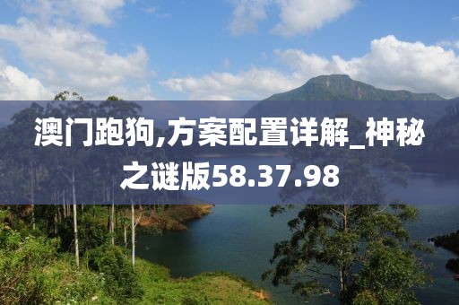 澳门跑狗,方案配置详解_神秘之谜版58.37.98