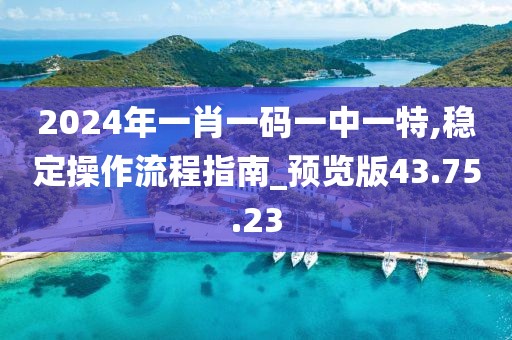 2024年一肖一码一中一特,稳定操作流程指南_预览版43.75.23