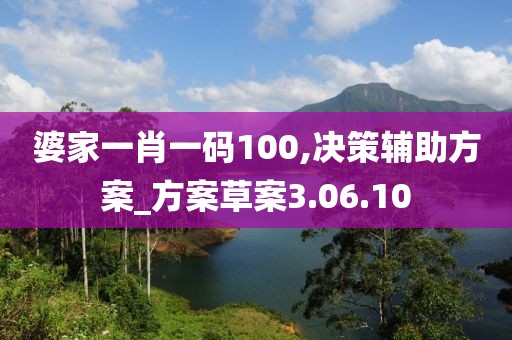 婆家一肖一码100,决策辅助方案_方案草案3.06.10