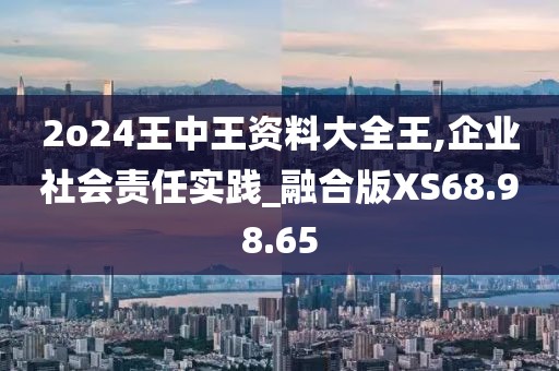 2o24王中王资料大全王,企业社会责任实践_融合版XS68.98.65