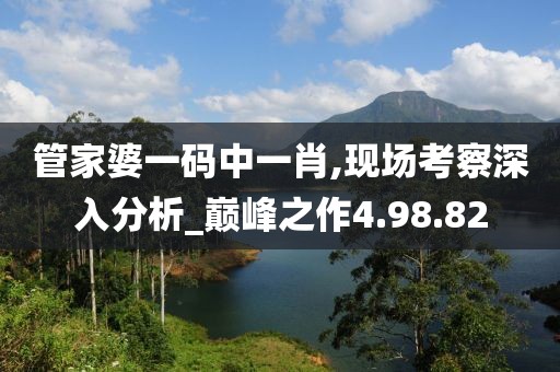 管家婆一码中一肖,现场考察深入分析_巅峰之作4.98.82