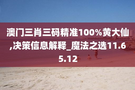 澳门三肖三码精准100%黄大仙,决策信息解释_魔法之选11.65.12