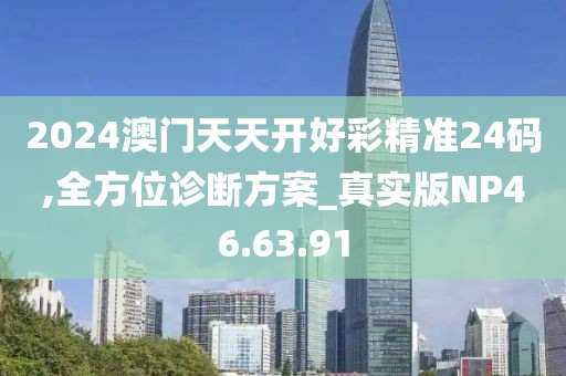 2024澳门天天开好彩精准24码,全方位诊断方案_真实版NP46.63.91