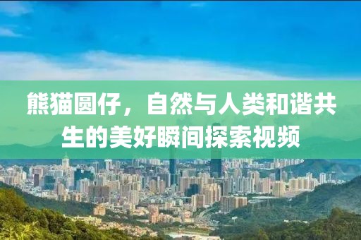熊猫圆仔，自然与人类和谐共生的美好瞬间探索视频