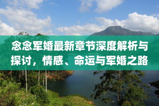 念念军婚最新章节深度解析与探讨，情感、命运与军婚之路