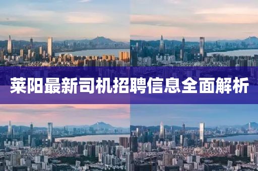 莱阳最新司机招聘信息全面解析