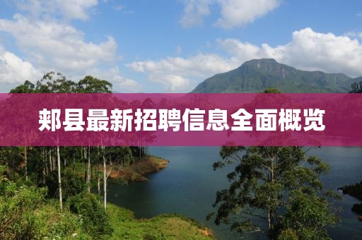 郏县最新招聘信息全面概览