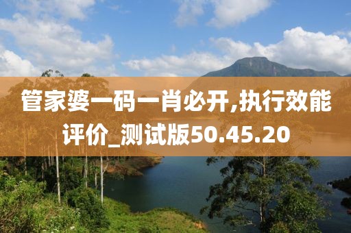 管家婆一码一肖必开,执行效能评价_测试版50.45.20