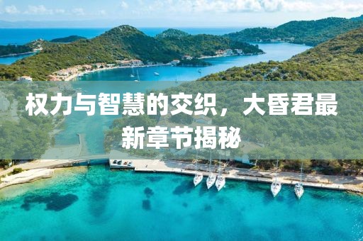 权力与智慧的交织，大昏君最新章节揭秘