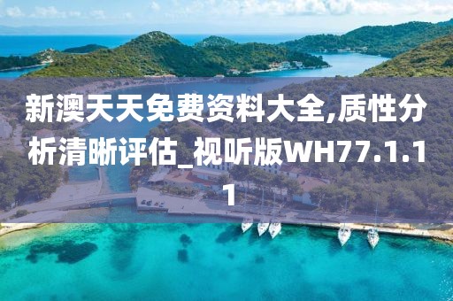 新澳天天免费资料大全,质性分析清晰评估_视听版WH77.1.11