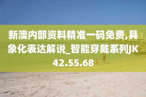新澳内部资料精准一码免费,具象化表达解说_智能穿戴系列JK42.55.68