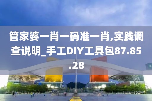 管家婆一肖一码准一肖,实践调查说明_手工DIY工具包87.85.28