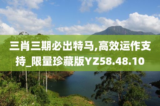 三肖三期必出特马,高效运作支持_限量珍藏版YZ58.48.10