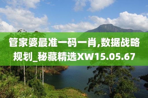 管家婆最准一码一肖,数据战略规划_秘藏精选XW15.05.67