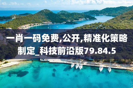 一肖一码免费,公开,精准化策略制定_科技前沿版79.84.5