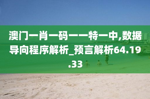 澳门一肖一码一一特一中,数据导向程序解析_预言解析64.19.33
