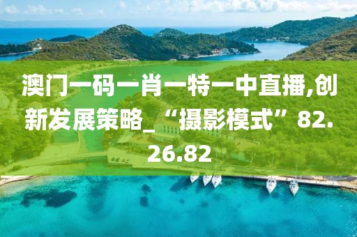 澳门一码一肖一特一中直播,创新发展策略_“摄影模式”82.26.82