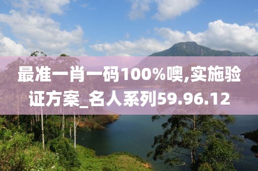 最准一肖一码100%噢,实施验证方案_名人系列59.96.12