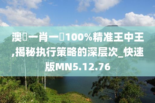 澳門一肖一碼100%精准王中王,揭秘执行策略的深层次_快速版MN5.12.76