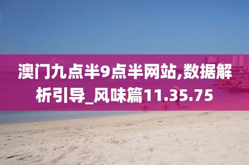 澳门九点半9点半网站,数据解析引导_风味篇11.35.75