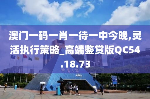 澳门一码一肖一待一中今晚,灵活执行策略_高端鉴赏版QC54.18.73