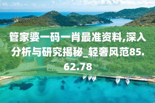 管家婆一码一肖最准资料,深入分析与研究揭秘_轻奢风范85.62.78
