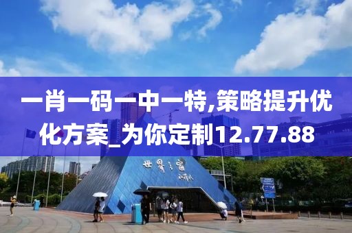 一肖一码一中一特,策略提升优化方案_为你定制12.77.88