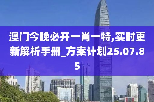 澳门今晚必开一肖一特,实时更新解析手册_方案计划25.07.85