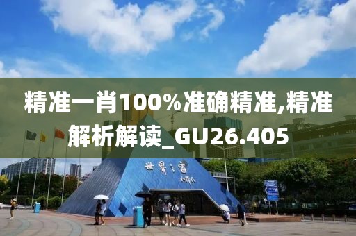 精准一肖100%准确精准,精准解析解读_GU26.405
