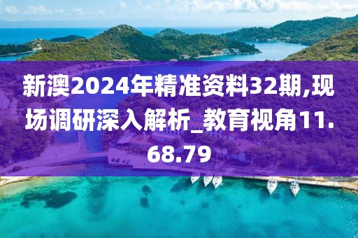 新澳2024年精准资料32期,现场调研深入解析_教育视角11.68.79