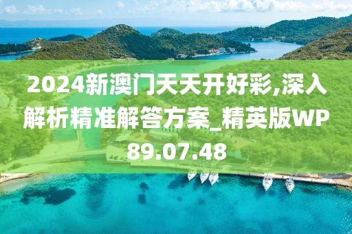 2024新澳门天天开好彩,深入解析精准解答方案_精英版WP89.07.48