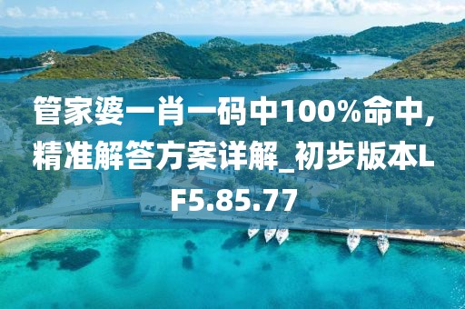 管家婆一肖一码中100%命中,精准解答方案详解_初步版本LF5.85.77