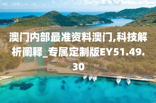 澳门内部最准资料澳门,科技解析阐释_专属定制版EY51.49.30