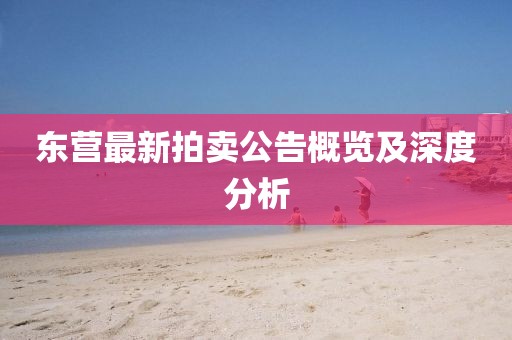 东营最新拍卖公告概览及深度分析