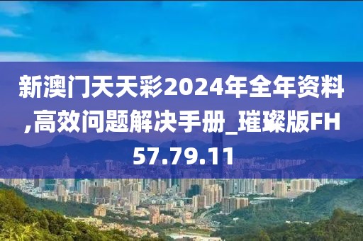 新澳门天天彩2024年全年资料,高效问题解决手册_璀璨版FH57.79.11