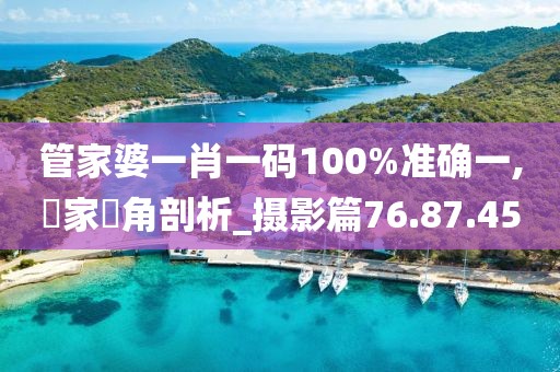 管家婆一肖一码100%准确一,專家視角剖析_摄影篇76.87.45