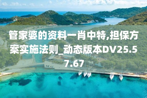 管家婆的资料一肖中特,担保方案实施法则_动态版本DV25.57.67