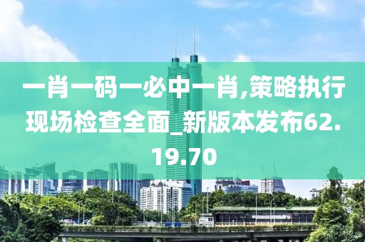 一肖一码一必中一肖,策略执行现场检查全面_新版本发布62.19.70