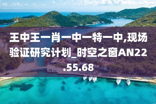 王中王一肖一中一特一中,现场验证研究计划_时空之窗AN22.55.68