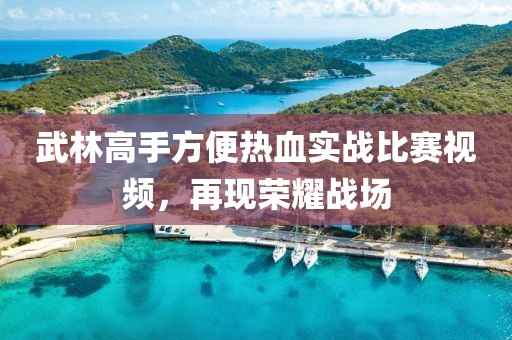 武林高手方便热血实战比赛视频，再现荣耀战场