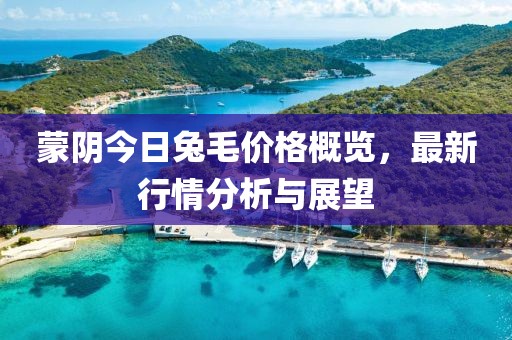 蒙阴今日兔毛价格概览，最新行情分析与展望