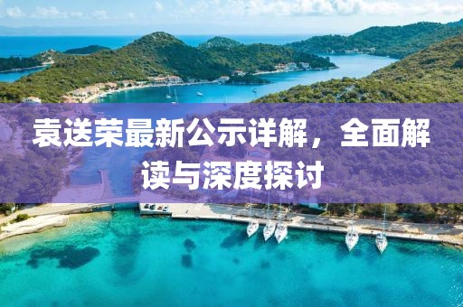 袁送荣最新公示详解，全面解读与深度探讨