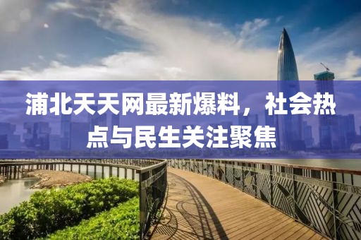 浦北天天网最新爆料，社会热点与民生关注聚焦